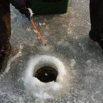 najlepsza zanęta na karpia